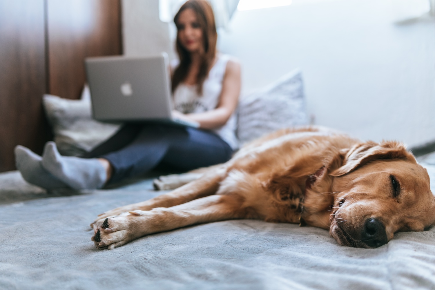 Woman Browses a Laptop While Her Dog Rests Nearby