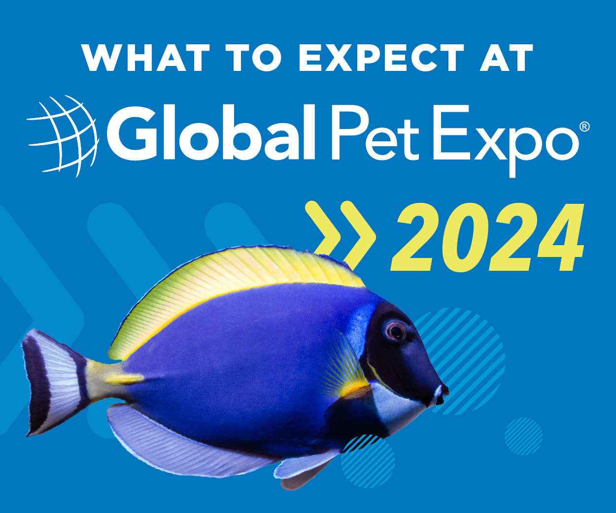 What to Expect at Global Pet Expo 2024